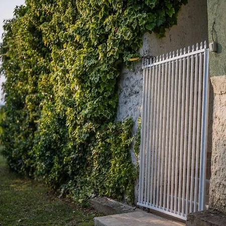 Holiday home Vacation Rot
