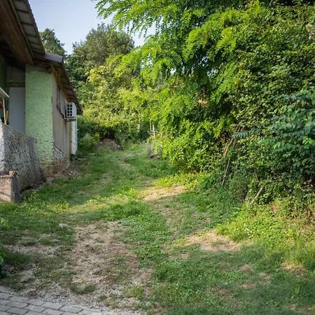 Vacation Rot * Ohrid